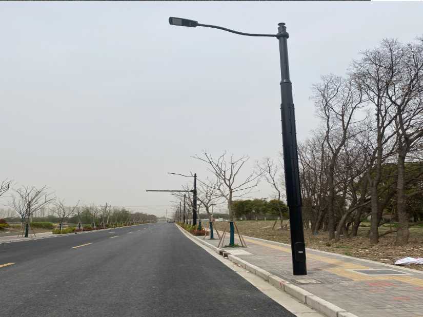高州市上海综合杆 太阳能路灯工程